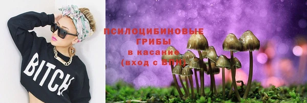 амф Белокуриха