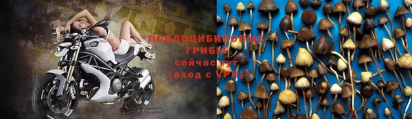 амф Белокуриха